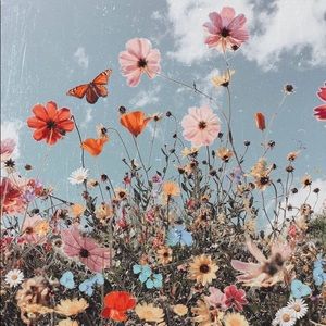 Meet your Posher, Mae